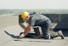 Roof Coating Services in Swanton, OH